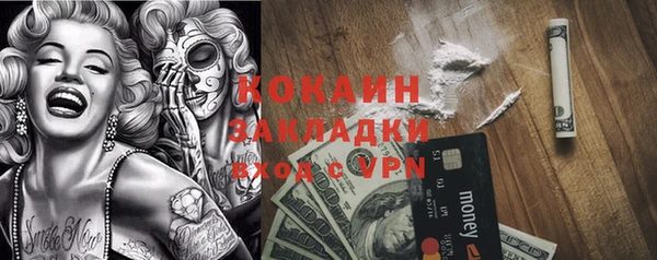 apvp Инта