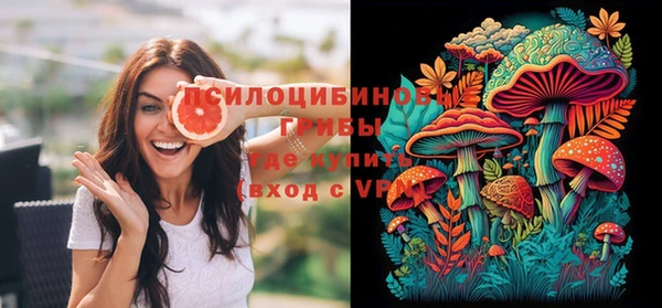 apvp Инта