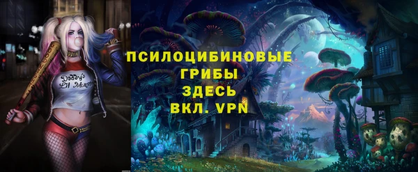 apvp Инта