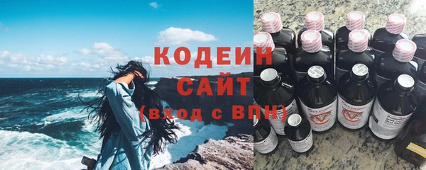 apvp Инта
