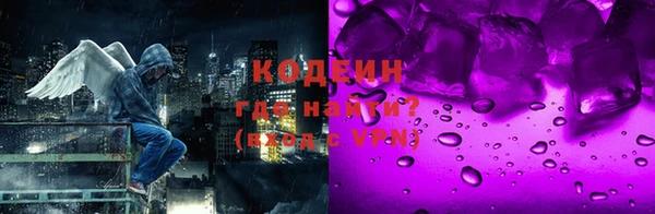 apvp Инта