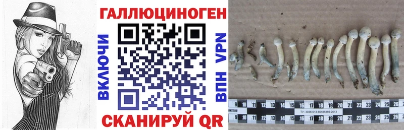 Псилоцибиновые грибы Psilocybine cubensis  Купить где  Коркино 